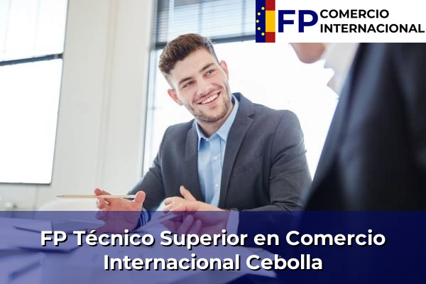 FP Técnico Superior en Comercio Internacional en Toledo 9 FP Técnico Superior en Comercio Internacional en Cebolla